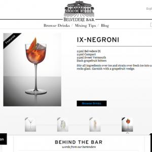 Website Design Company - Belvedere Vodka