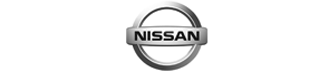 Digital Agency For Nissan