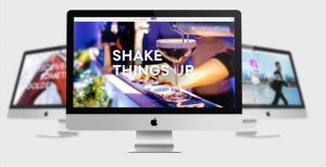Website Design Company - Skyy Vodka