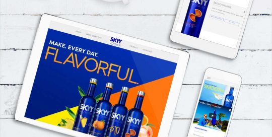Web Design Company - Skyy Vodka