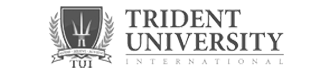 Digital Agency for Trident University