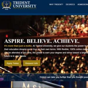 Website Design Company - Trident University
